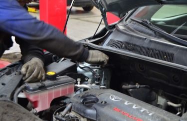 Опоры Toyota RAV4